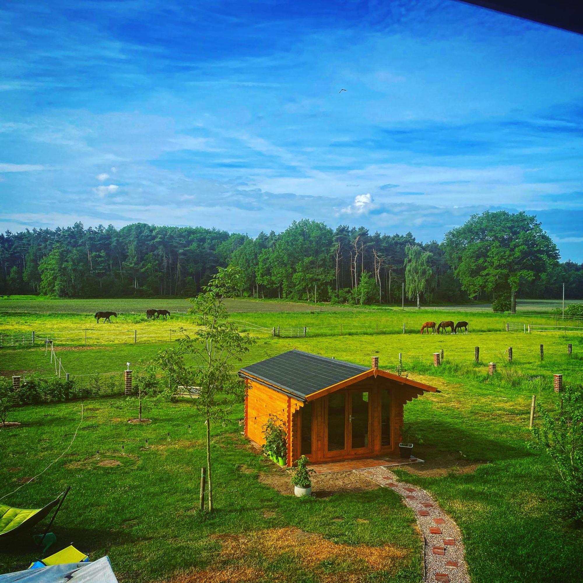 Wunderschoene Ferienwohnung Mit Balkon Auf Dem Bauernhof Greven Dış mekan fotoğraf