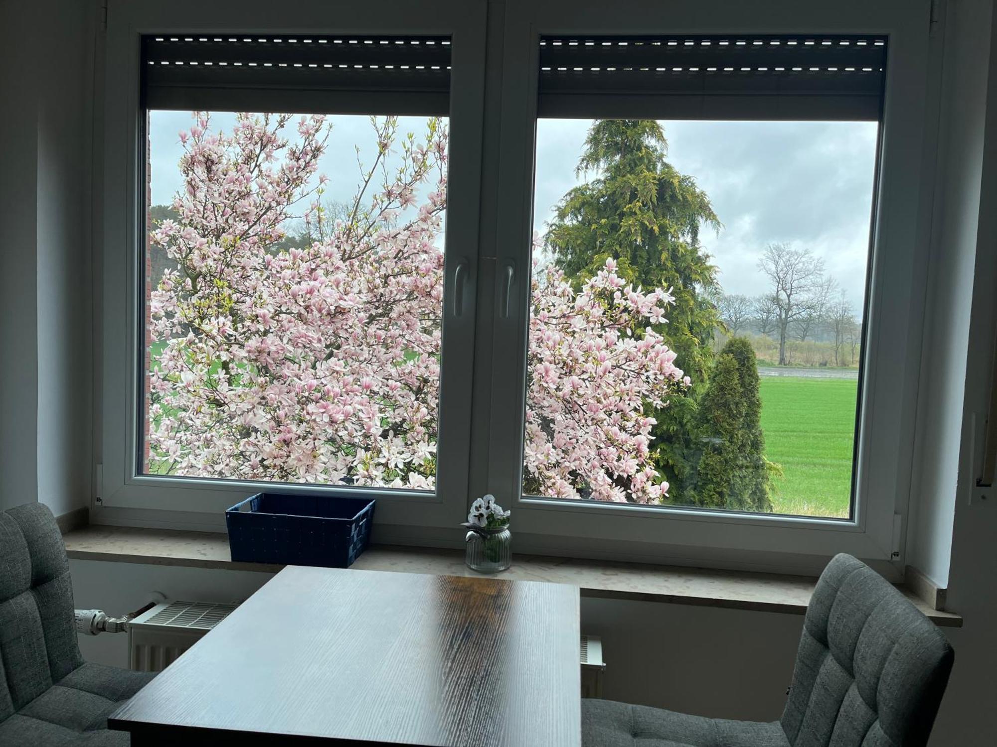 Wunderschoene Ferienwohnung Mit Balkon Auf Dem Bauernhof Greven Dış mekan fotoğraf